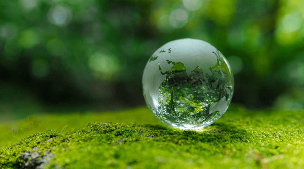 Article cover image for 'Boards as stewards of sustainability', which displays the earth as a glass ball sitting on a moss-covered rock